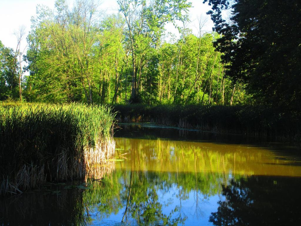 Barge Canal Backwaters 