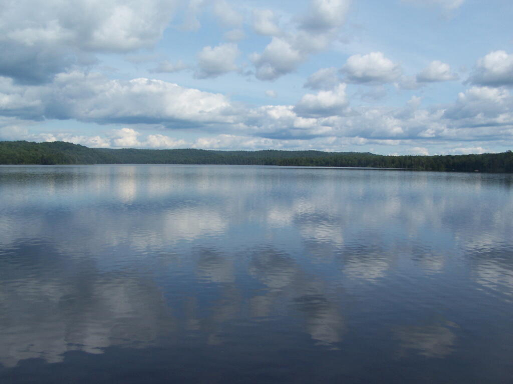Later in Evening On Lake