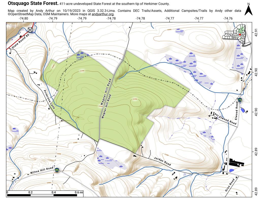 Otsquago State Forest [Expires November 2 2023]