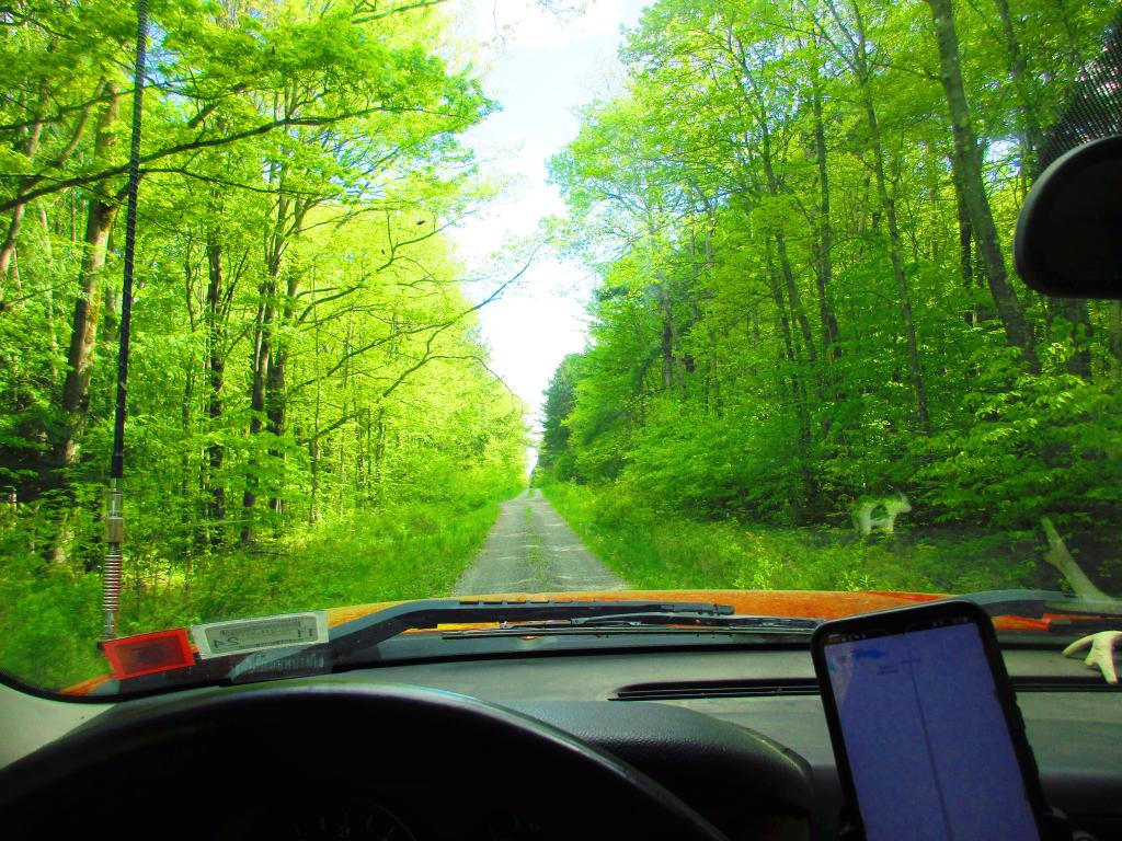 Bumping Along Burnt Hill Road