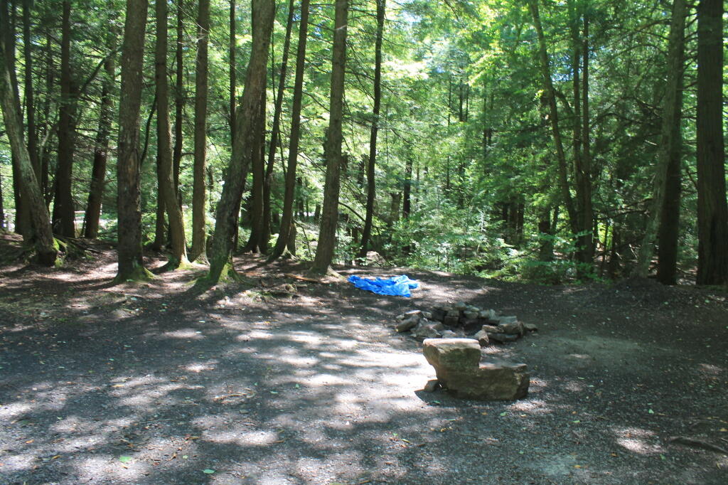 Tionesta Creek Campsite