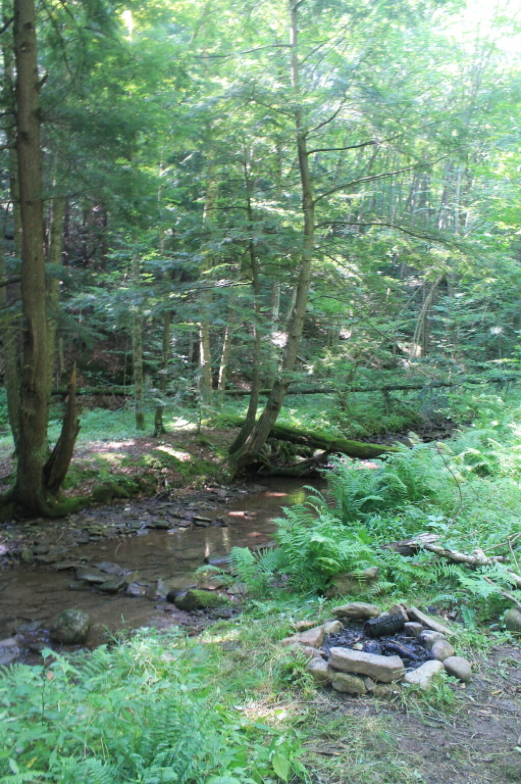 Camping at Painter Run