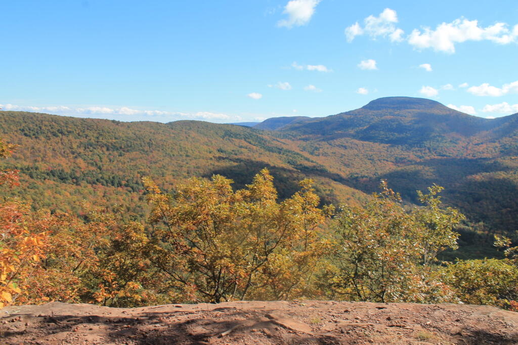 Burnt Knob Overlook