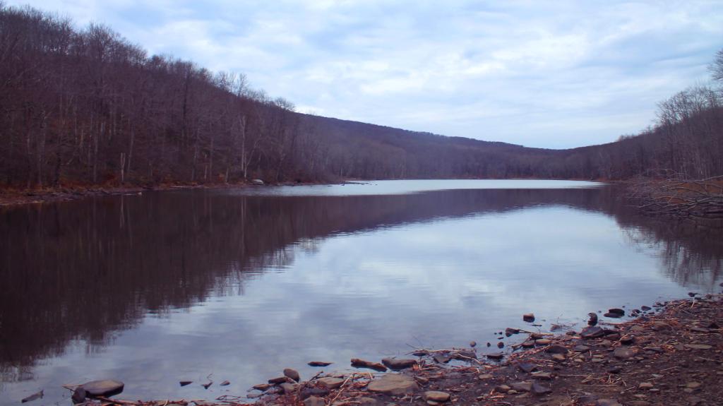 Trout Pond