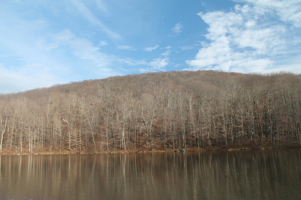 Russ Grey Pond