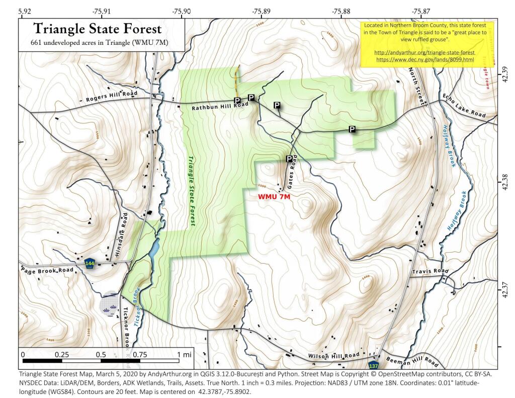 Triangle State Forest