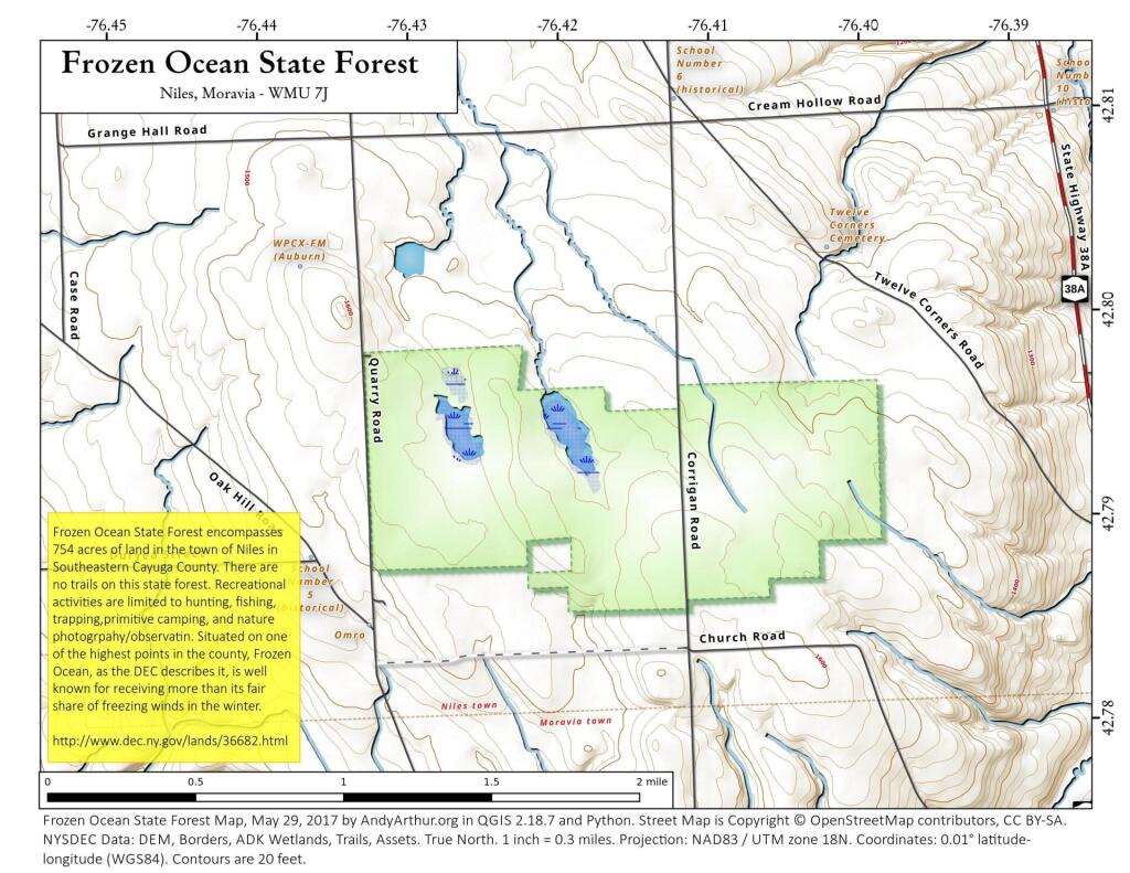  Frozen Ocean State Forest