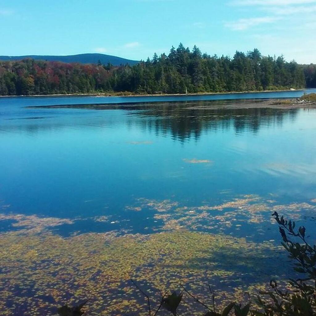 Bourne Pond sure is scenic