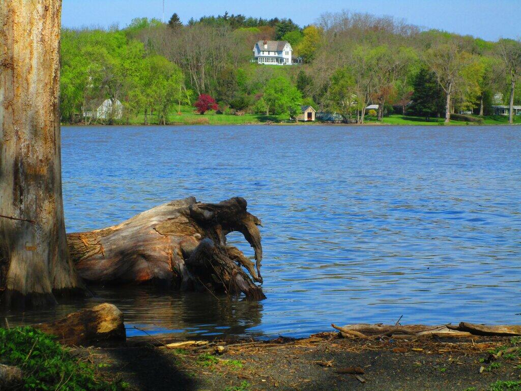 High Tide