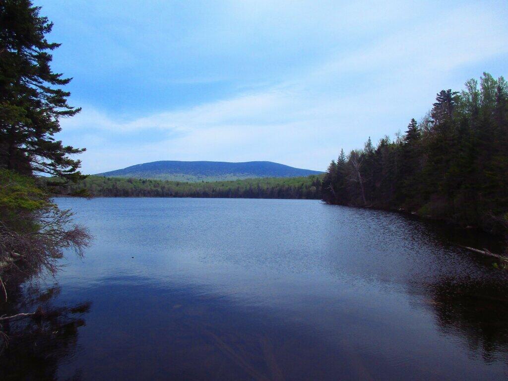  Stratton Pond