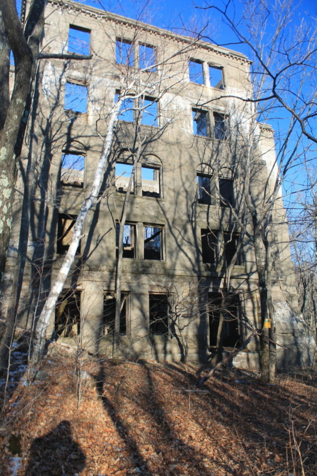 Photo: Windows and a Shadow