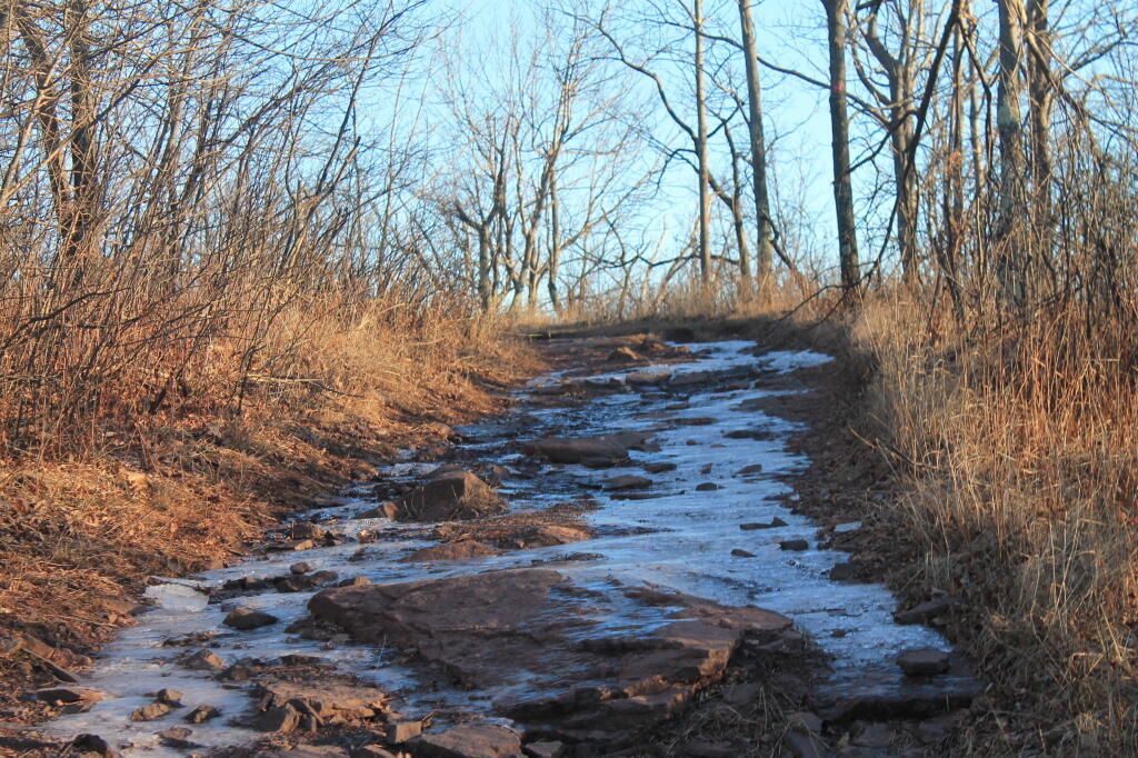Photo: Going to Slippery After Dark