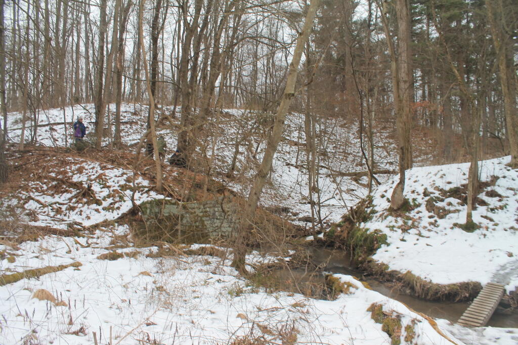 Photo: Old Kiakout Kill Dam