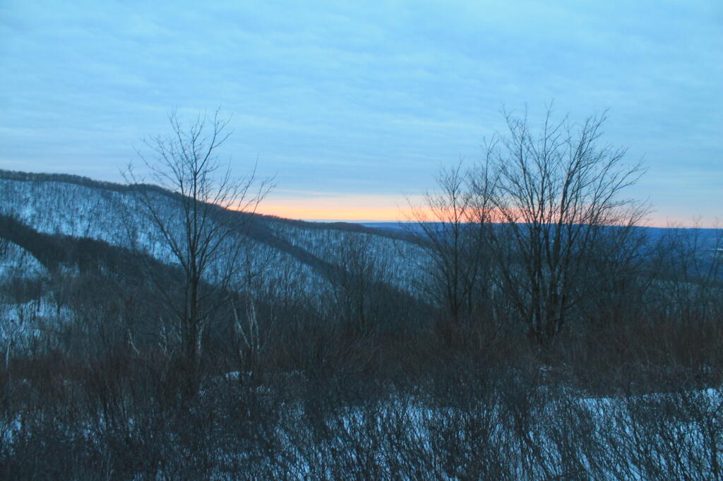 Photo: Photo.2013.03.03 13.31.34