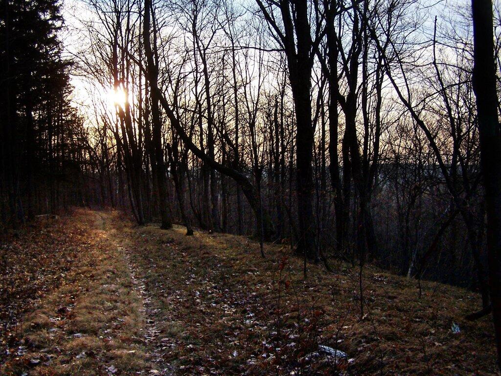 Photo: Evening on the Path Photo: Evening on the Path