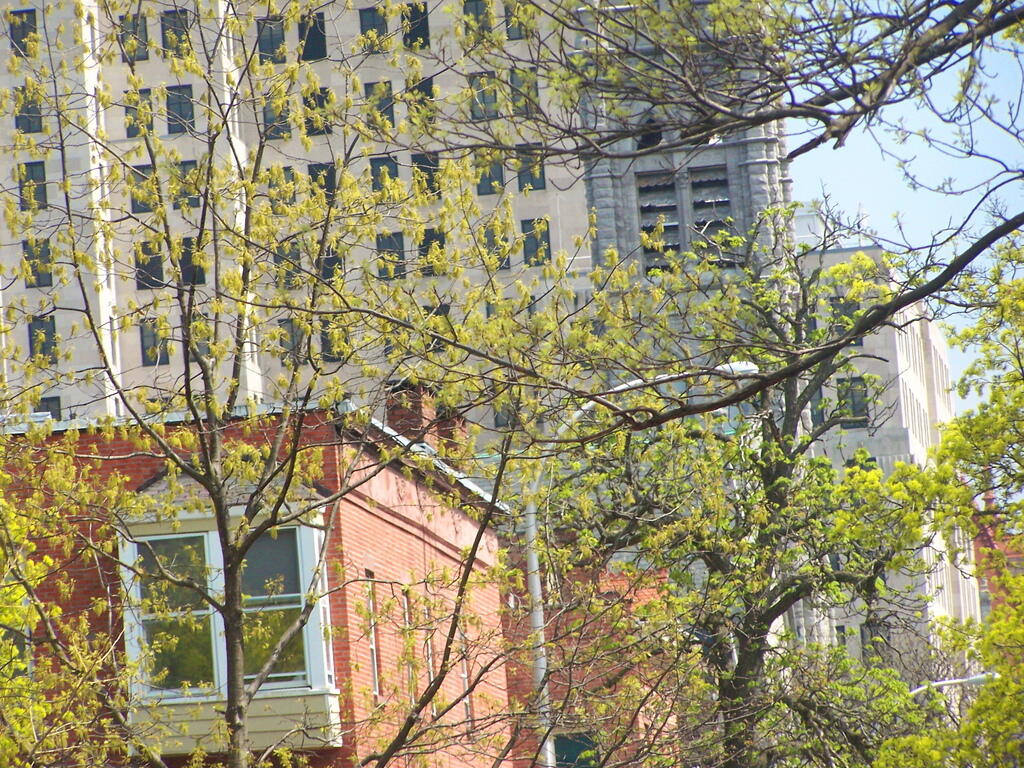 Photo: Spring on State Street