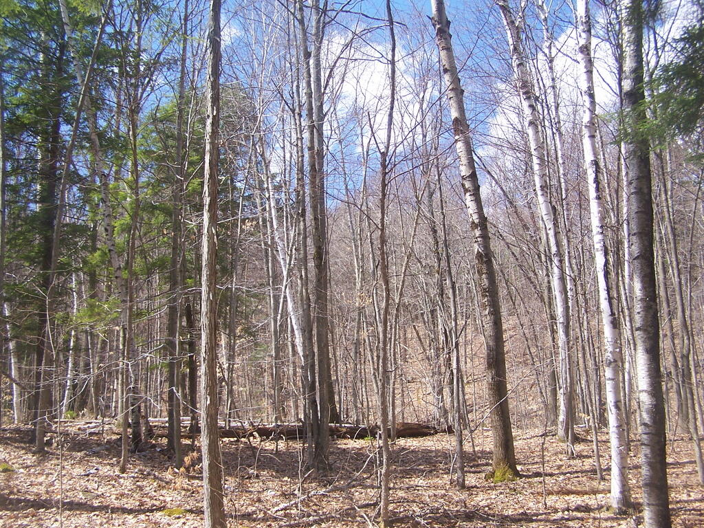Photo: Untitled Photo: Untitled