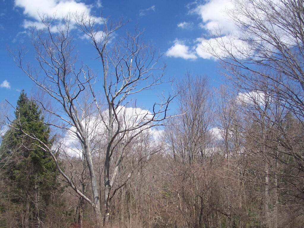 Photo: Untitled Photo: Untitled