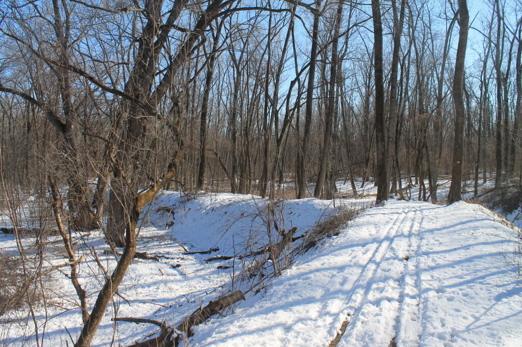 Photo: Following Old Woods Road