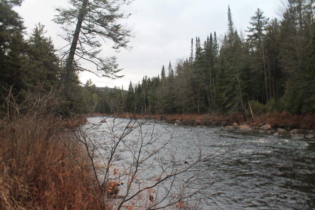 Photo: Walking Along the Vanderwhacker Creek Photo: Walking Along the Vanderwhacker Creek