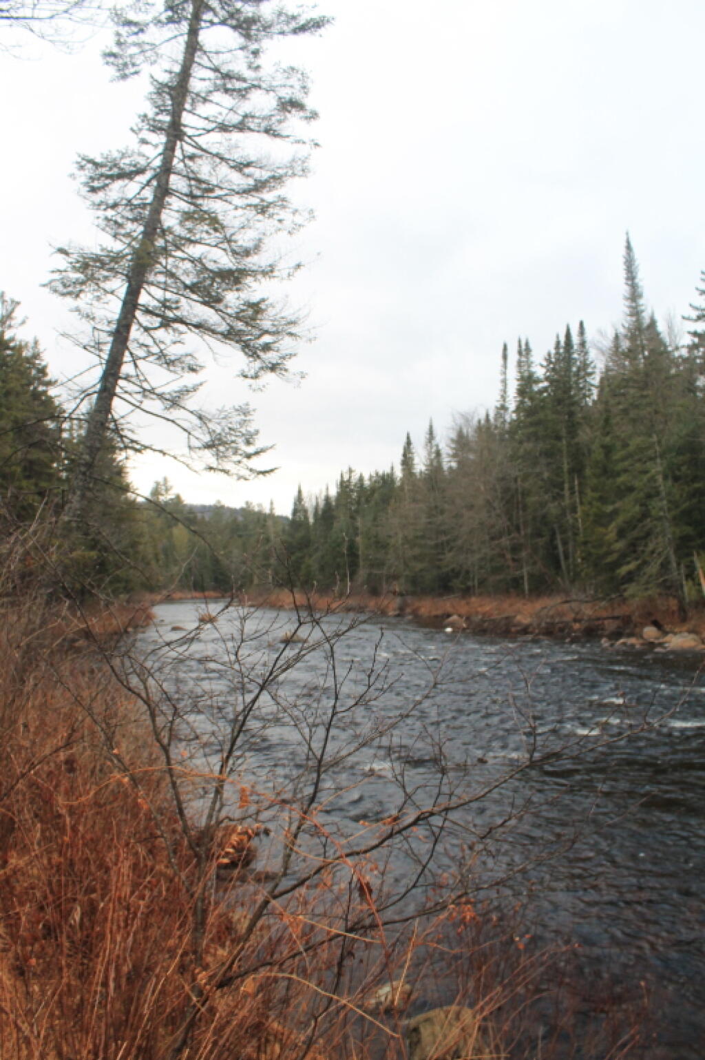 Photo: Boreas River Photo: Boreas River