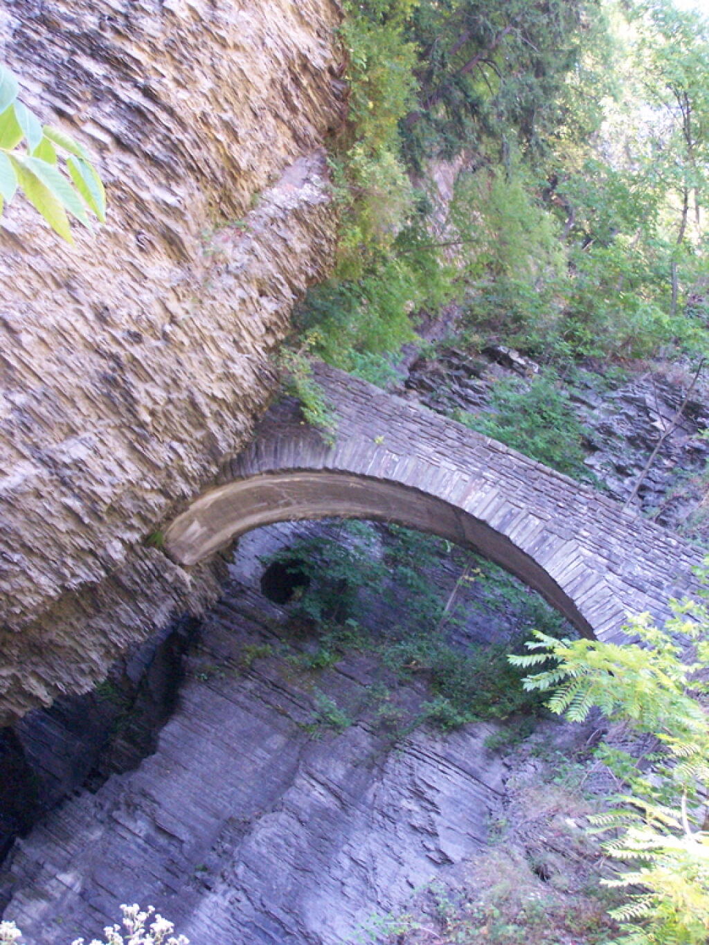 Photo: Bridge at Watkins Glen