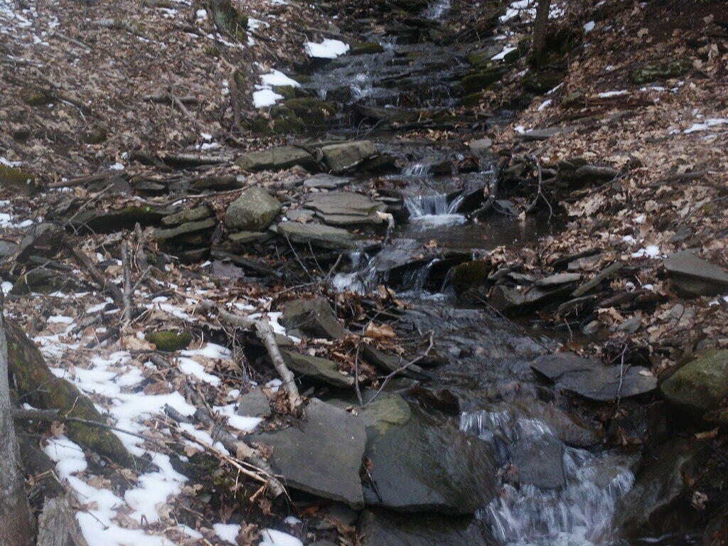 Photo: Stream Down