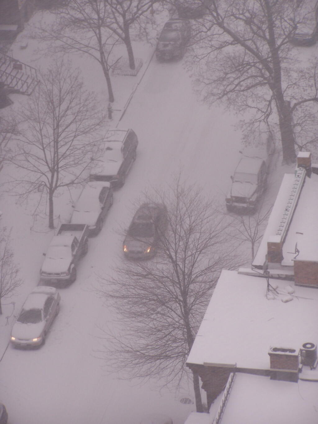 Photo: Snowy State