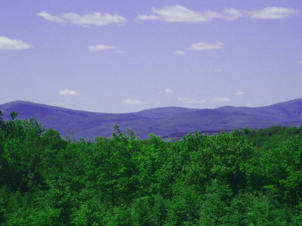 Photo: Blue Over Green Photo: Blue Over Green