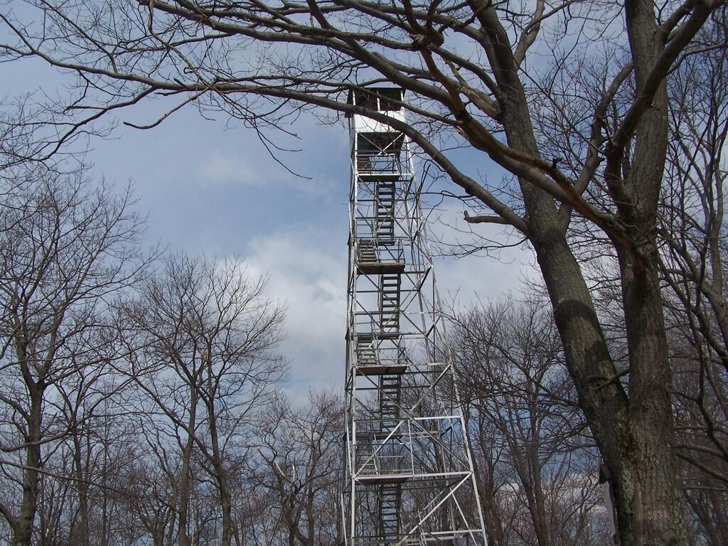 Photo: Barely Above Trees