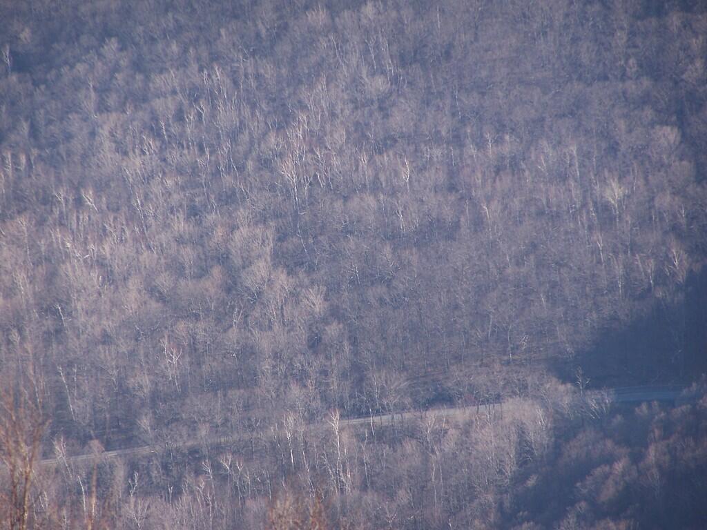 Photo: Petersburgh Trail Photo: Petersburgh Trail
