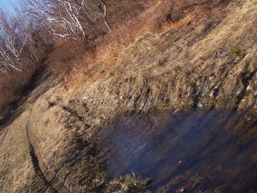 Photo: Puddle Created By ATVs Photo: Puddle Created By ATVs