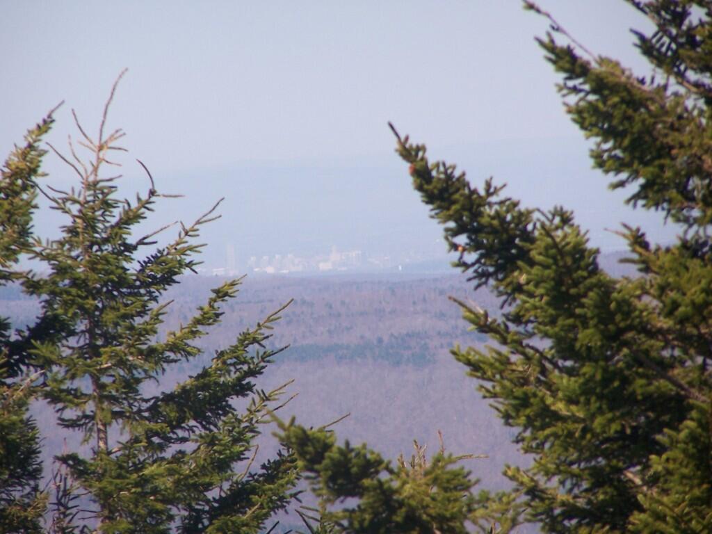 Photo: Albany Photo: Albany