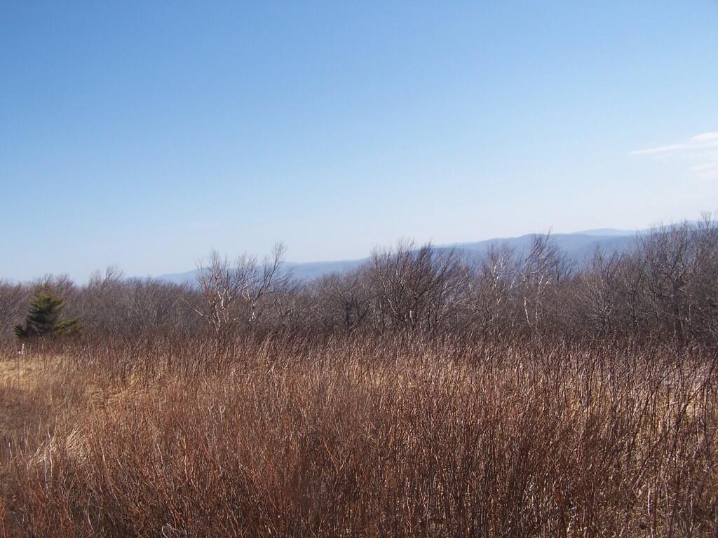 Photo: North from Berlin Mountain Photo: North from Berlin Mountain