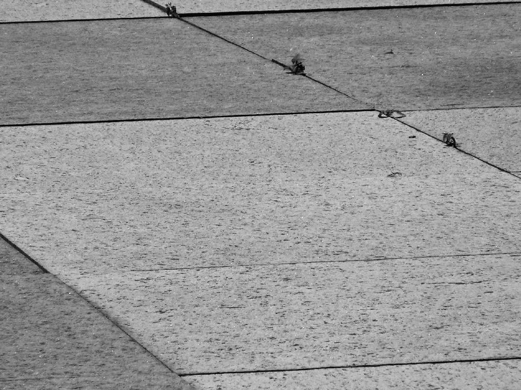 Photo: Sidewalk