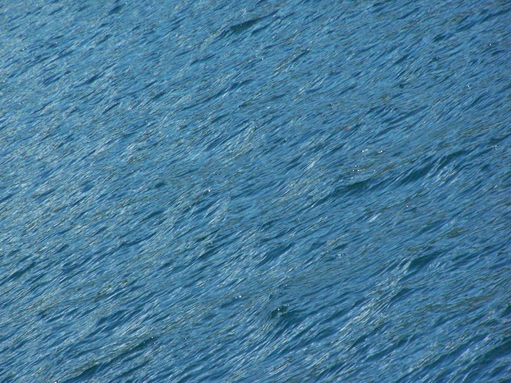 Photo: Water Photo: Water