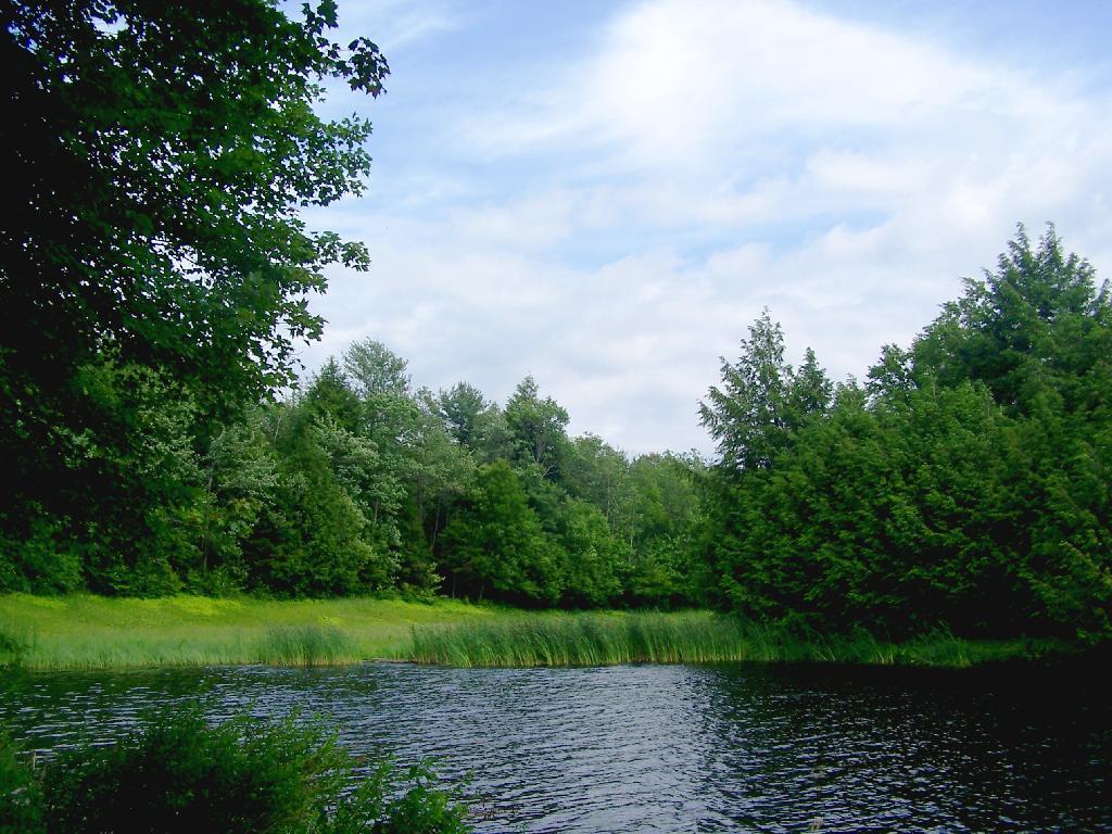 Photo: Dam Photo: Dam