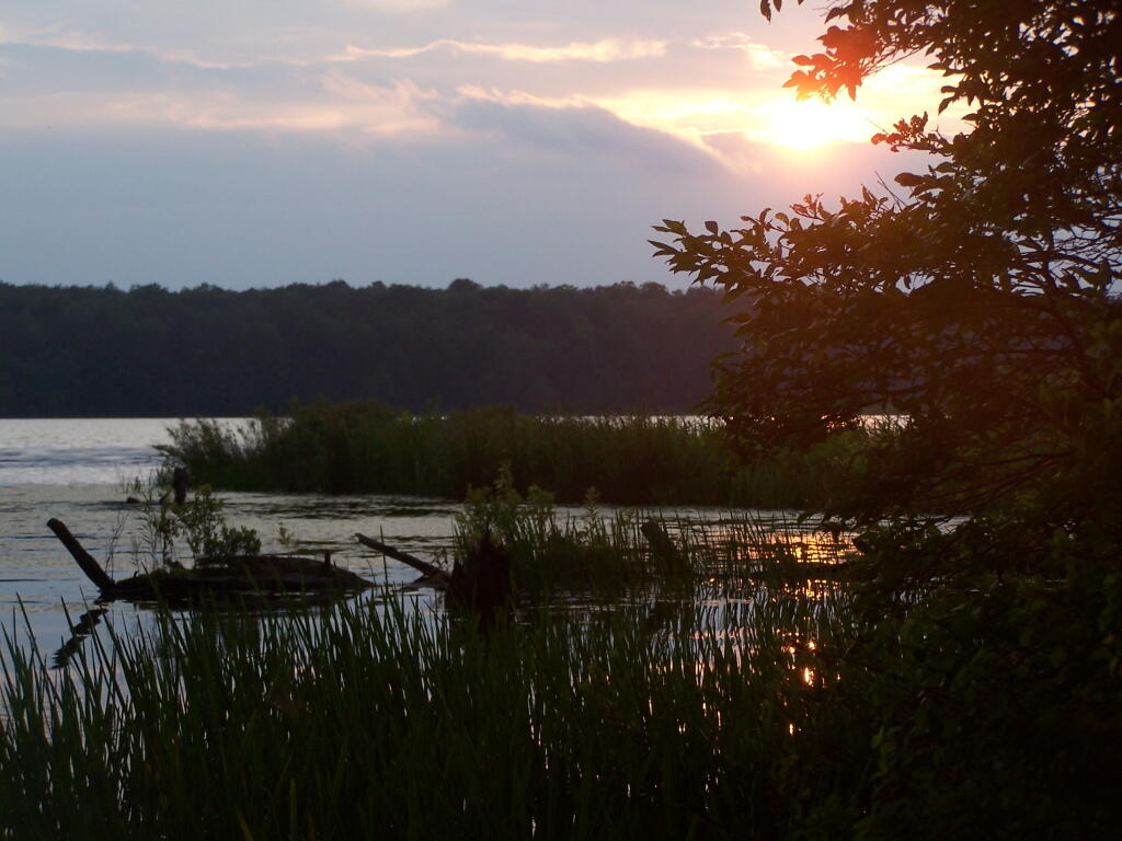 Photo: Marsh Photo: Marsh