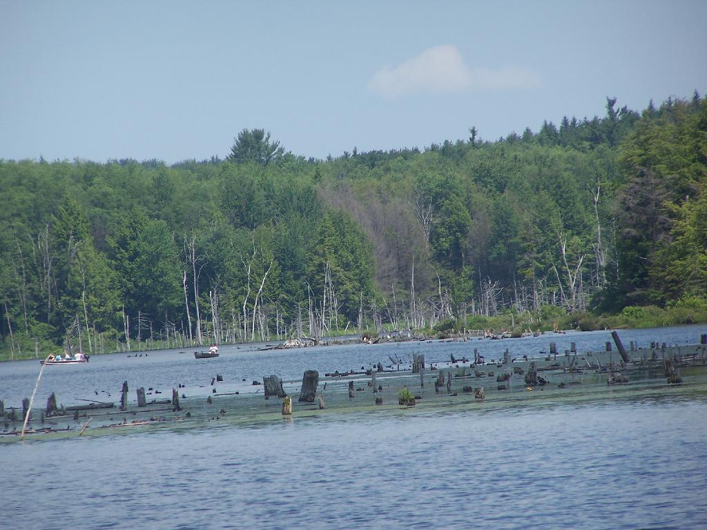 Photo: Fishing