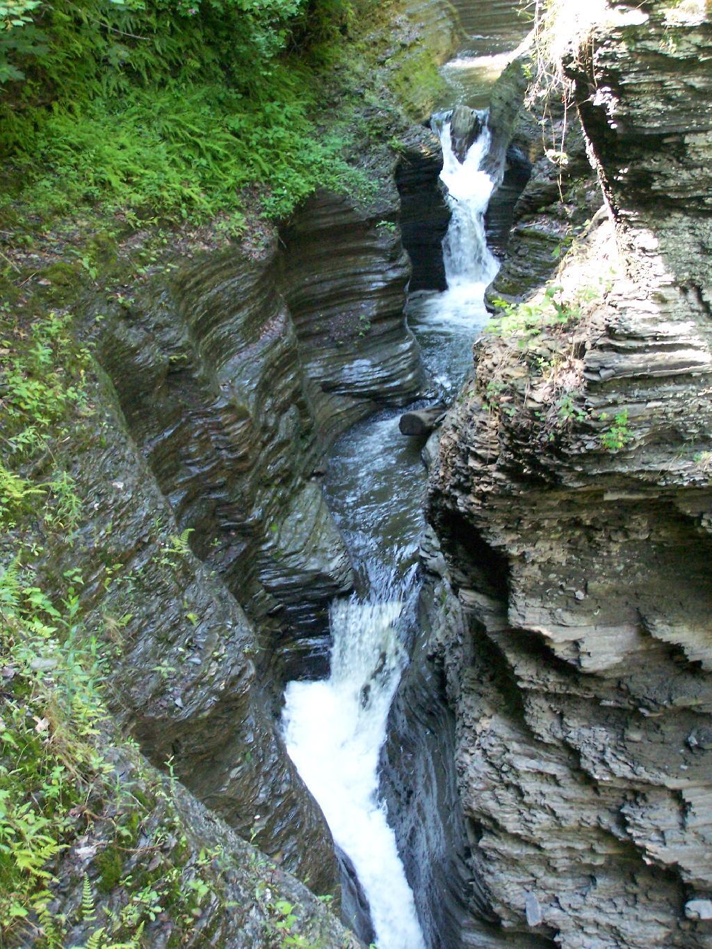 Photo: Glen Photo: Glen