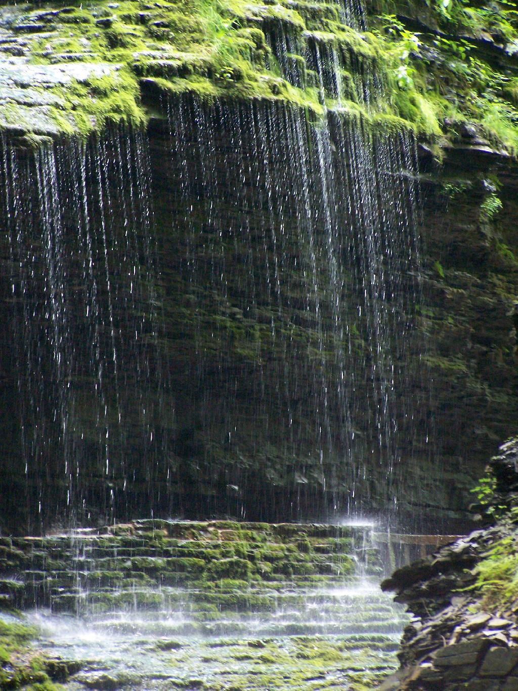 Photo: Drip Drop Photo: Drip Drop