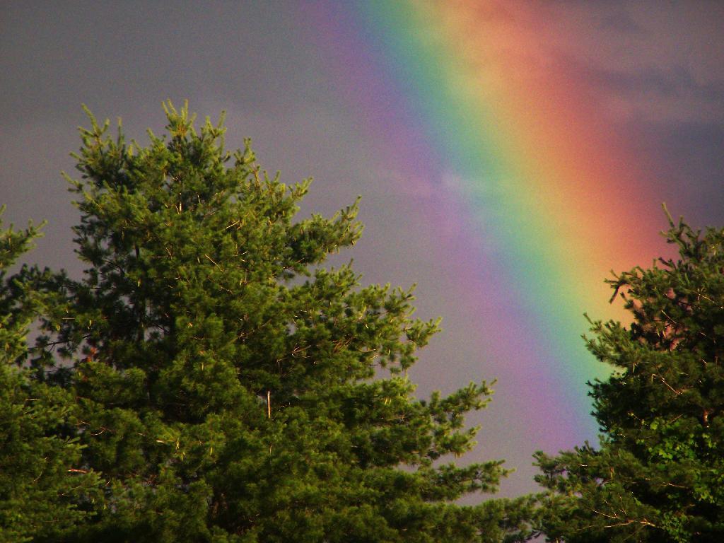 Photo: Pot of Gold Photo: Pot of Gold