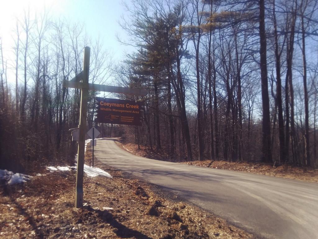 Photo: Exploring the Coeymans Creek WMA Today Photo: Exploring the Coeymans Creek WMA Today