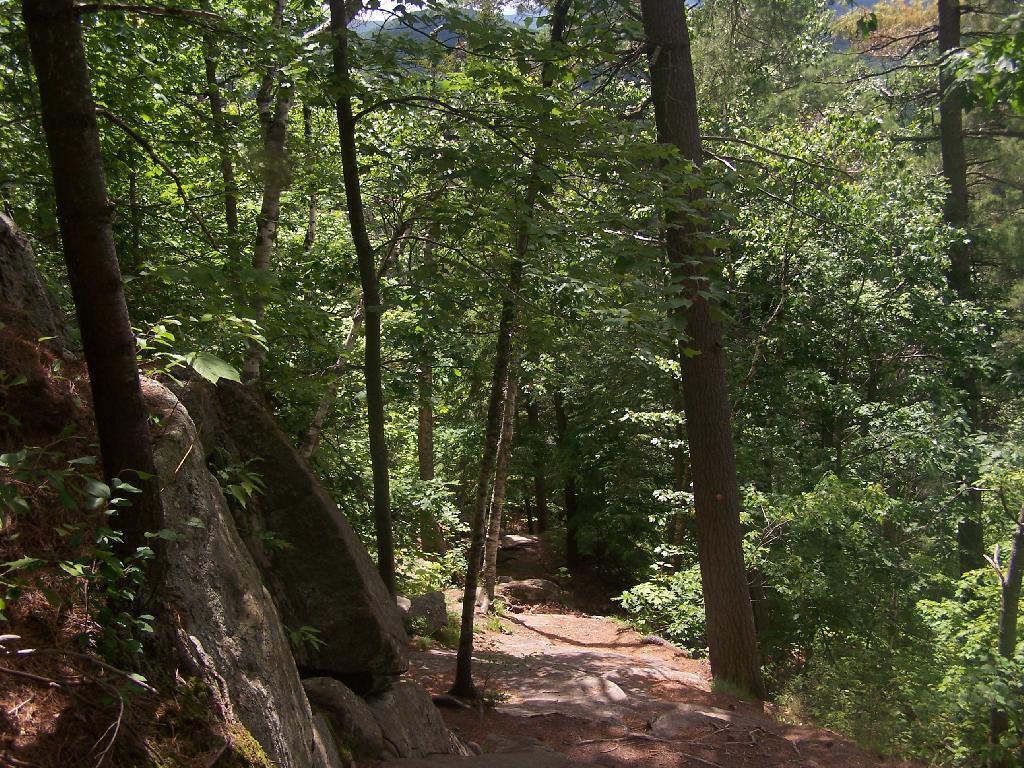 Photo: Steep Downhill Continues Photo: Steep Downhill Continues