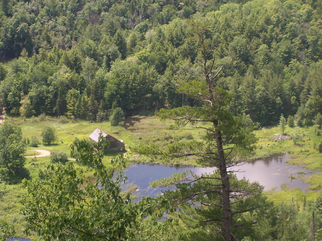 Photo: House By the Pond Photo: House By the Pond