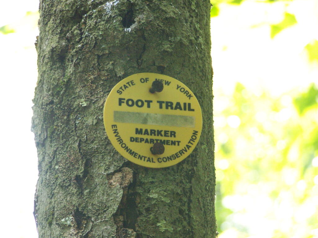 Photo: Yellow Trail Photo: Yellow Trail