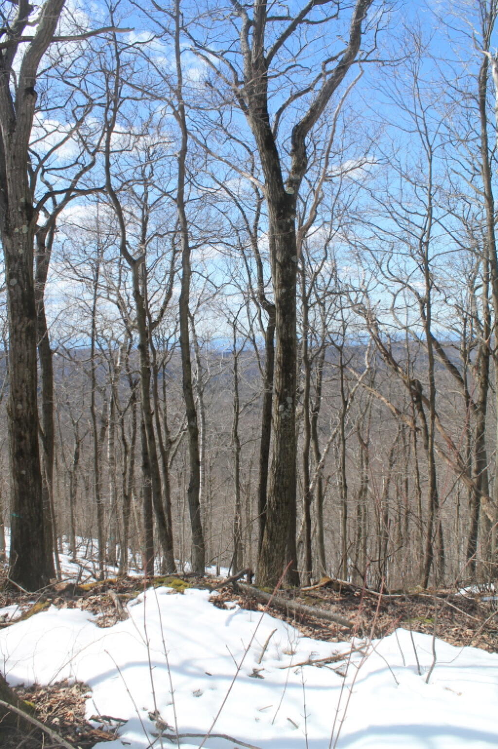 Photo: Broken Views of Catskills from Pinnacle Point Photo: Broken Views of Catskills from Pinnacle Point