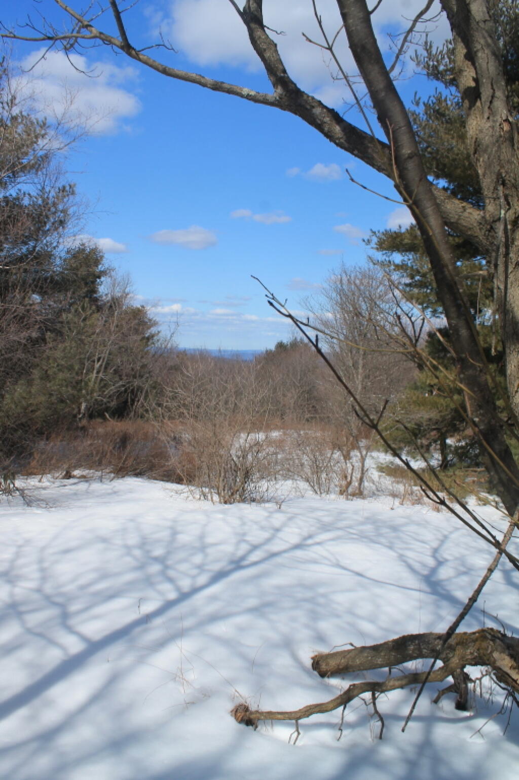 Photo: Clearing on Pinnacle Point Photo: Clearing on Pinnacle Point