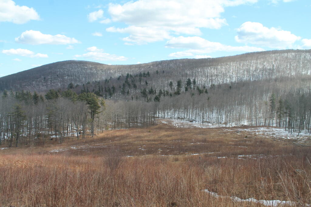 Photo: Another View of Harvey Mountain Photo: Another View of Harvey Mountain