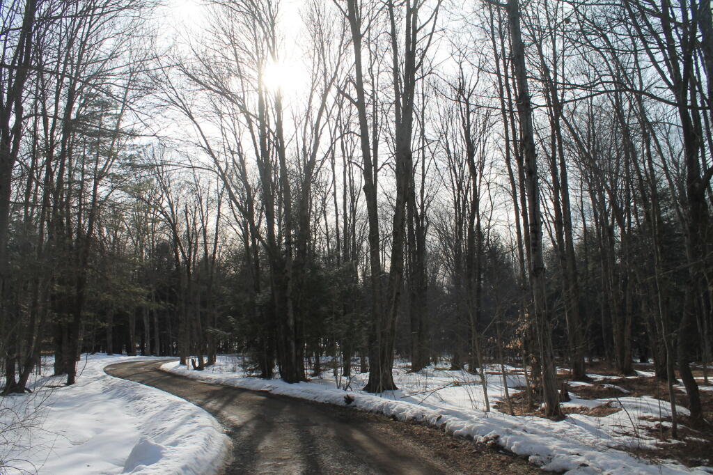 Photo: Bend in the Road Photo: Bend in the Road